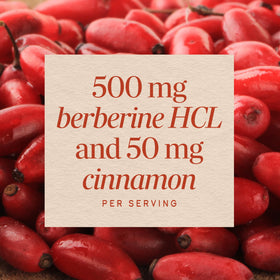 Nature's Way Berberine avec Cannelle 500 mg ouverte avec gélule visible