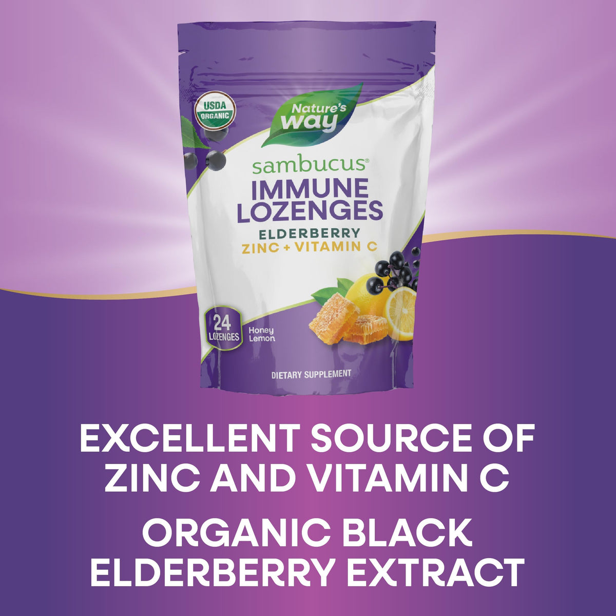Nature's Way Bonbons Sambucus Zinc ingrédients