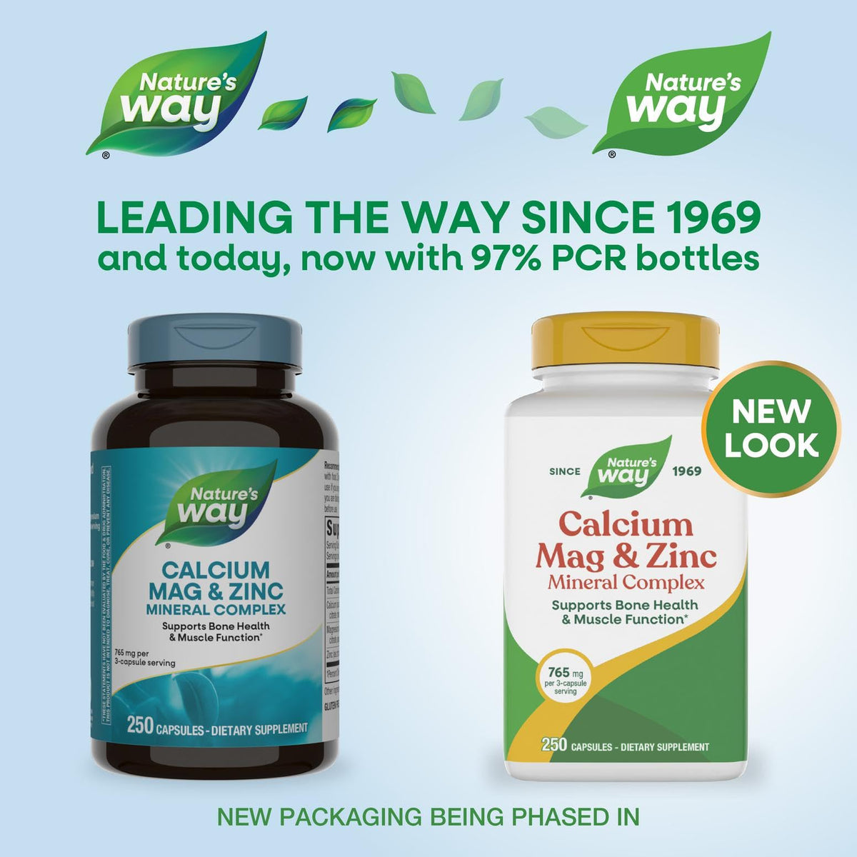 Nature's Way Calcium, Magnésium et Zinc 250 Capsules emballage arrière
