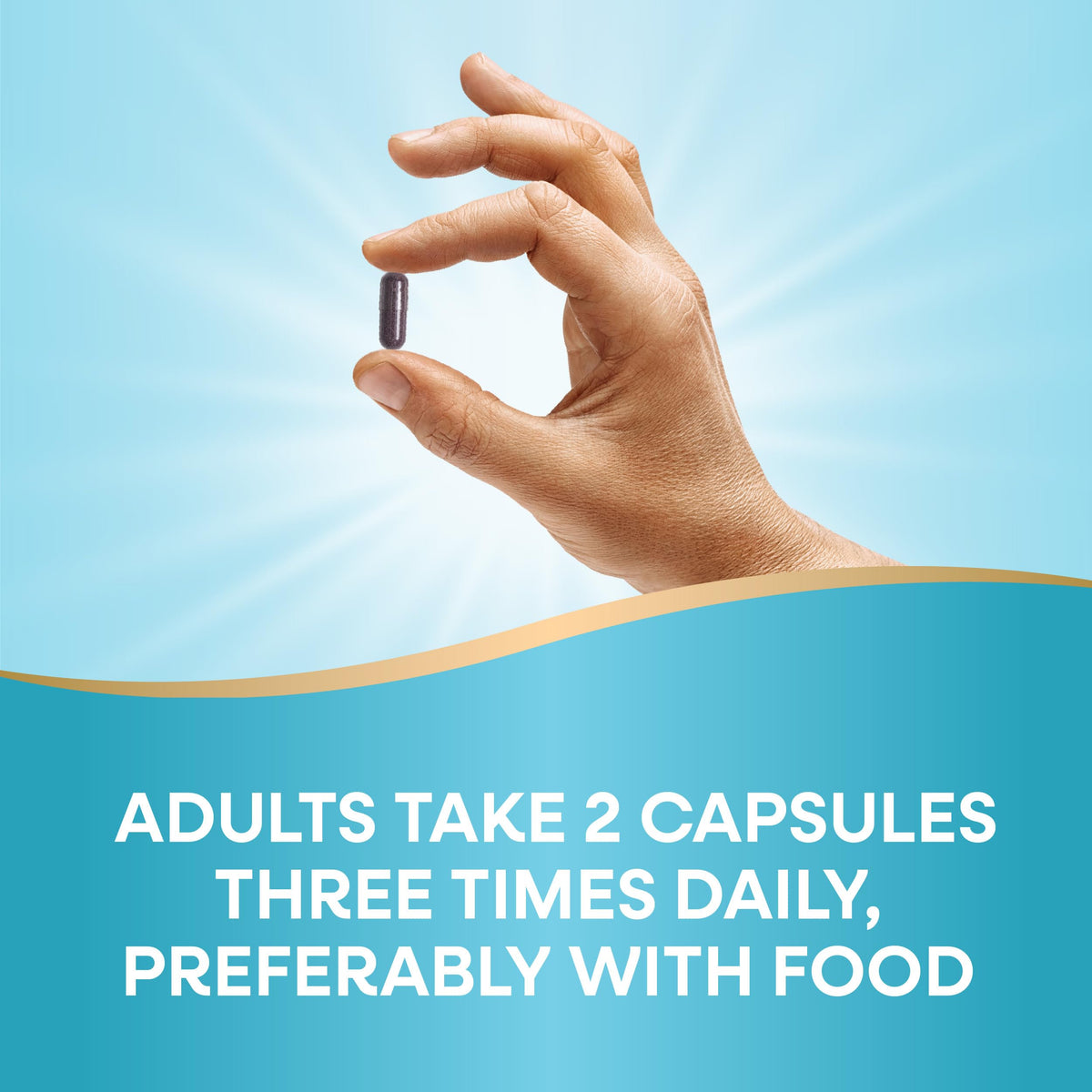 Nature's Way Complément Alimentaire Myrtille 90 capsules avec des baies