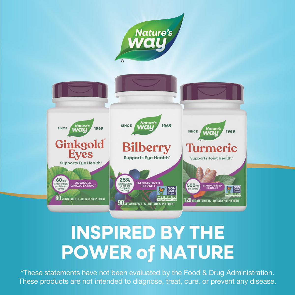 Nature's Way Complément Alimentaire Myrtille 90 capsules avec une cuillère
