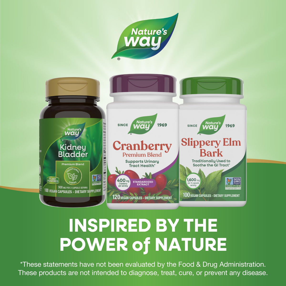 Nature's Way Cranberry 120 capsules sur un fond blanc