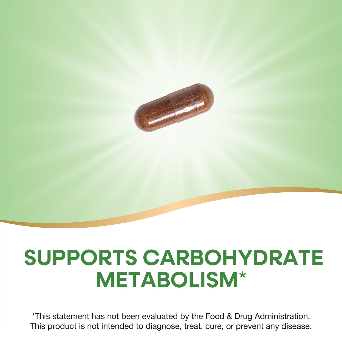 Nature's Way Extrait de Cannelle capsules ouvertes montrant la taille