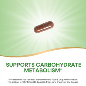 Nature's Way Extrait de Cannelle capsules ouvertes montrant la taille
