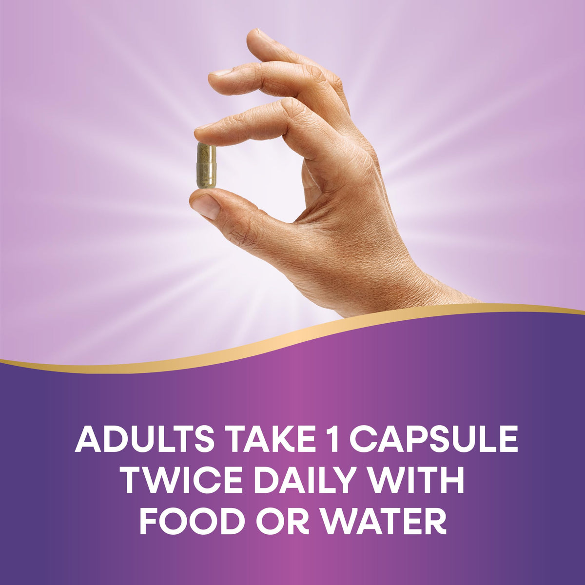 Nature's Way Feuille d'Olive Extrait Premium 250 mg avec verre d'eau