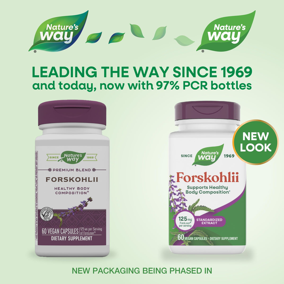 Nature's Way Forskohlii capsules 125 mg side view