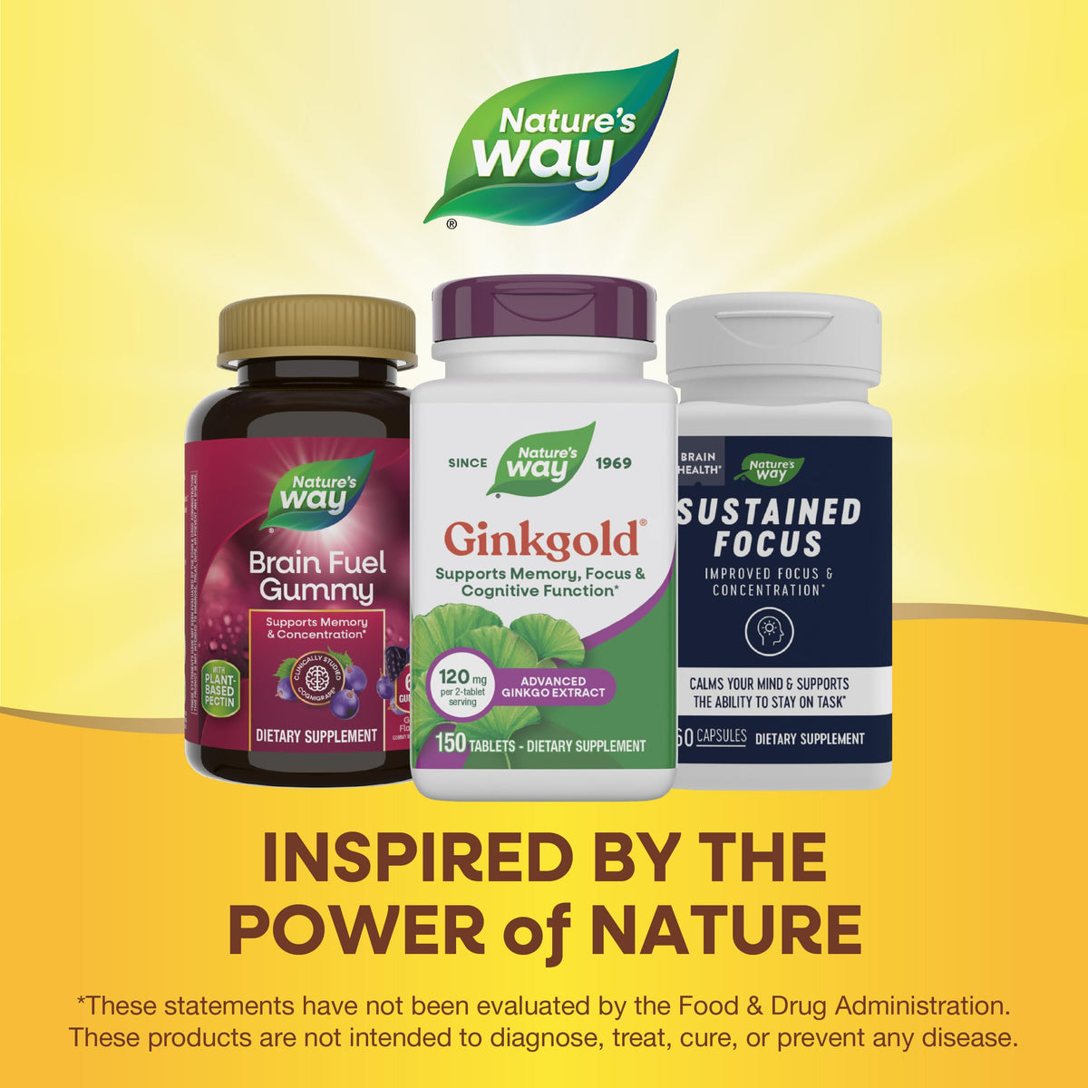 Nature's Way Ginkgold avec des éléments naturels en arrière-plan