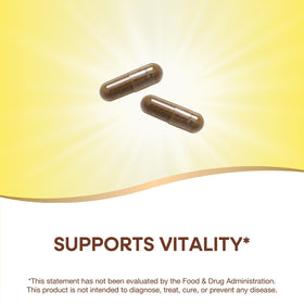 Nature's Way Gotu Kola, capsules sur un fond neutre