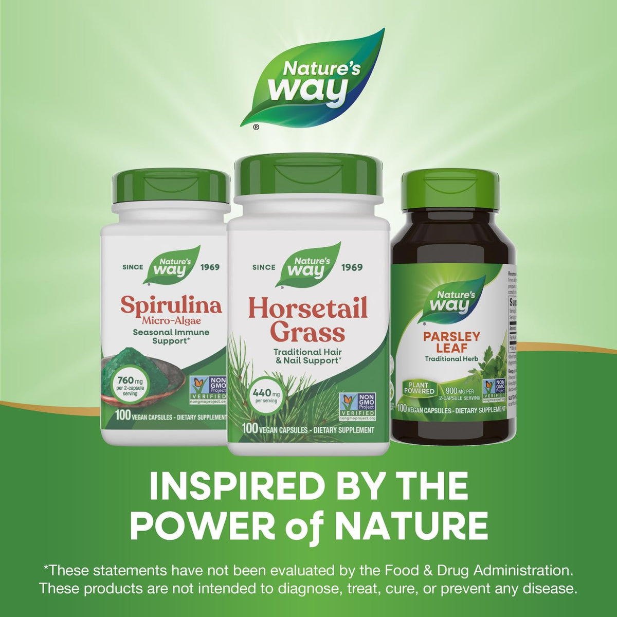 Nature's Way Horsetail Grass 440mg sur fond blanc