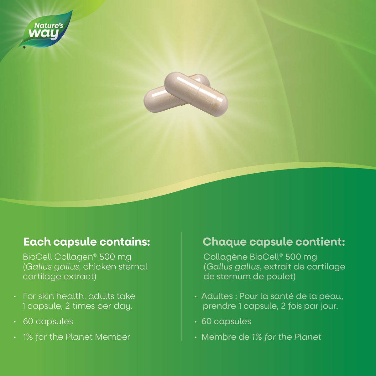 Nature's Way Hydraplenish capsules BioCell Collagen vue arrière
