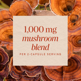 Nature's Way Mélange de 5 Champignons ingrédients