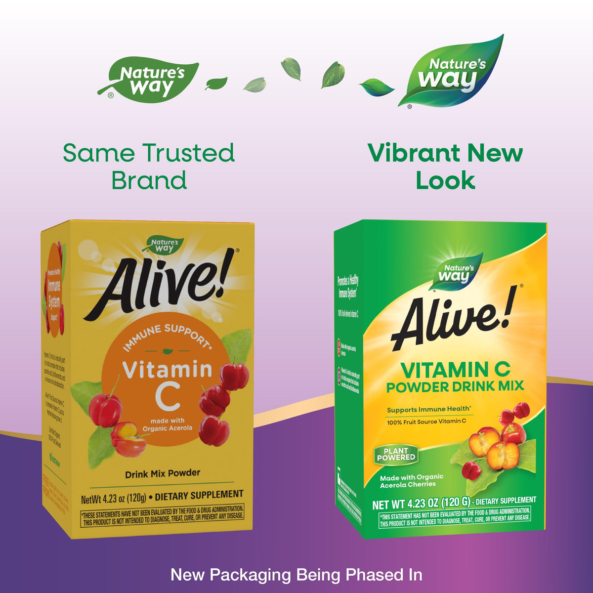 Nature's Way Mélange de Poudre de Vitamine C 181g avec cuillère
