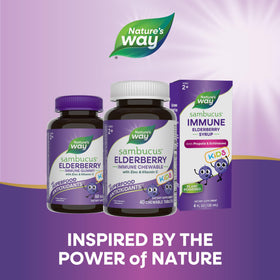 Nature's Way Sambucus Chewables pour Enfants, arrière de l'emballage