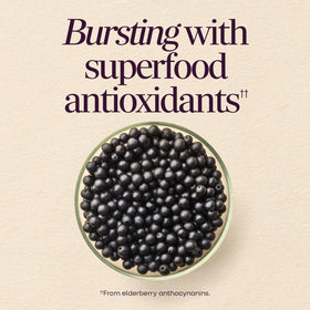 Nature's Way Sambucus Gummies Sommeil + daily wellnessé gélules avec un verre d'eau