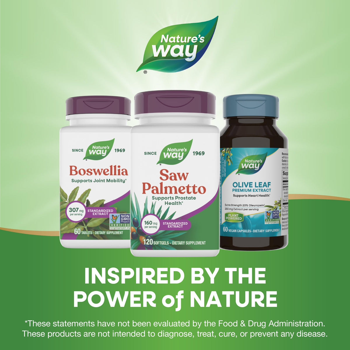 Nature's Way Saw Palmetto Extrait Standardisé 160mg avec baies de saw palmetto