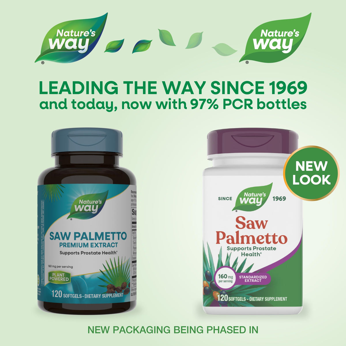 Nature's Way Saw Palmetto Extrait Standardisé 160mg gélules, vue arrière