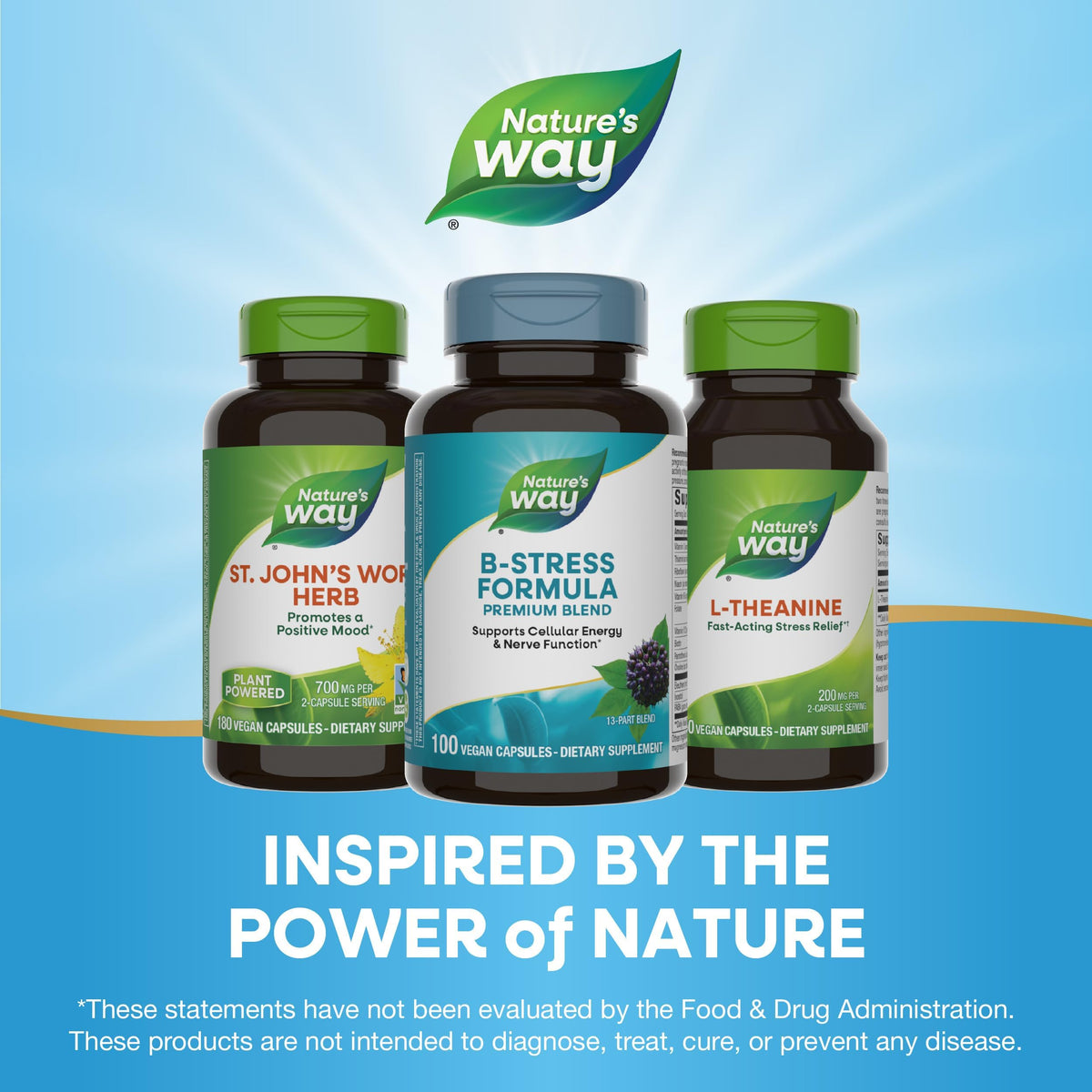 Nature's Way Vitamine C avec Églantier 1000mg 100 capsules emballage