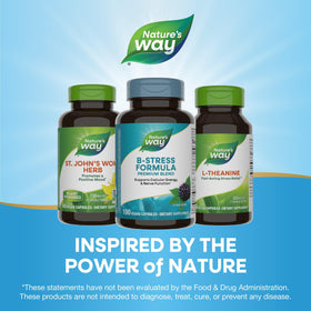 Nature's Way Vitamine C avec Églantier 1000mg 100 capsules emballage