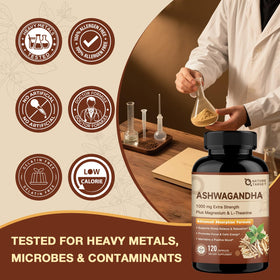 NATURE TARGET Ashwagandha 1000mg capsules en main