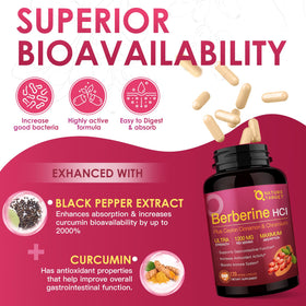 NATURE TARGET Berbérine 1200mg capsules sur fond blanc
