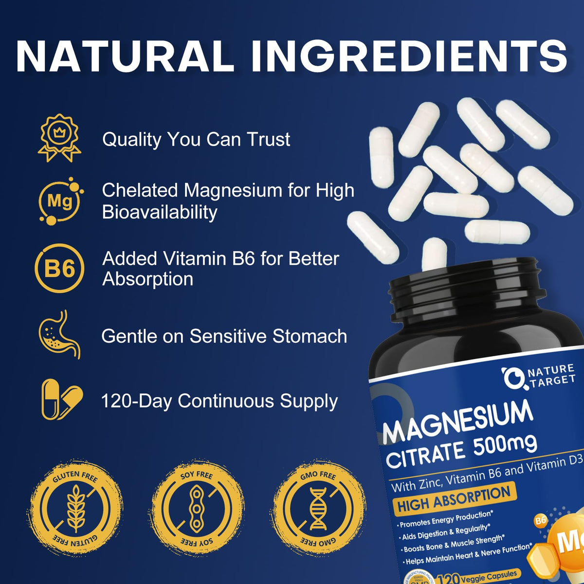 NATURE TARGET Citrate de Magnésium 500mg 120 VegCaps vue arrière