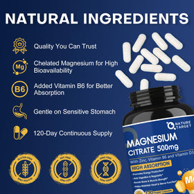 NATURE TARGET Citrate de Magnésium 500mg 120 VegCaps vue arrière