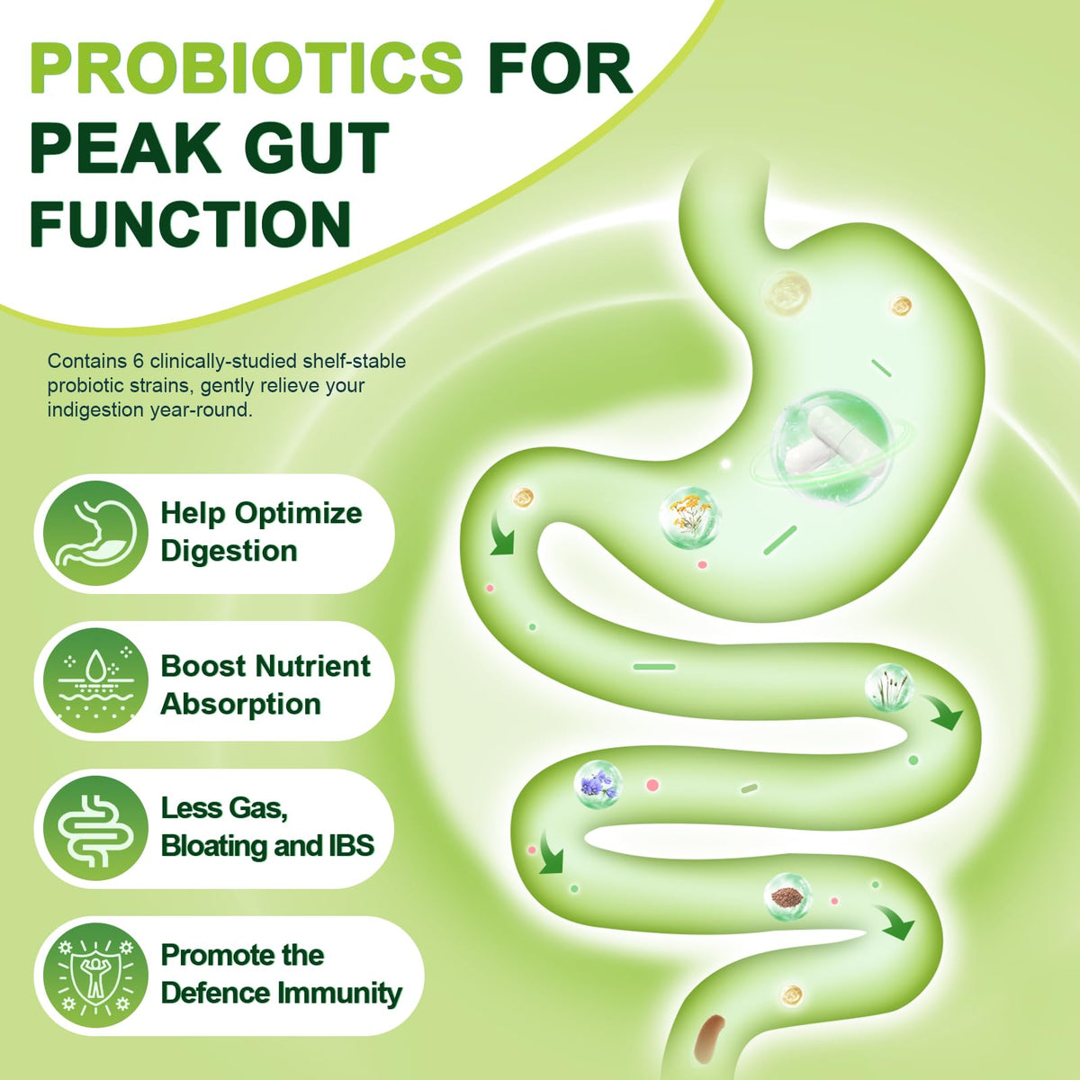 NATURE TARGET Complément Alimentaire Prébiotique 120 Capsules Végétales ouvertes
