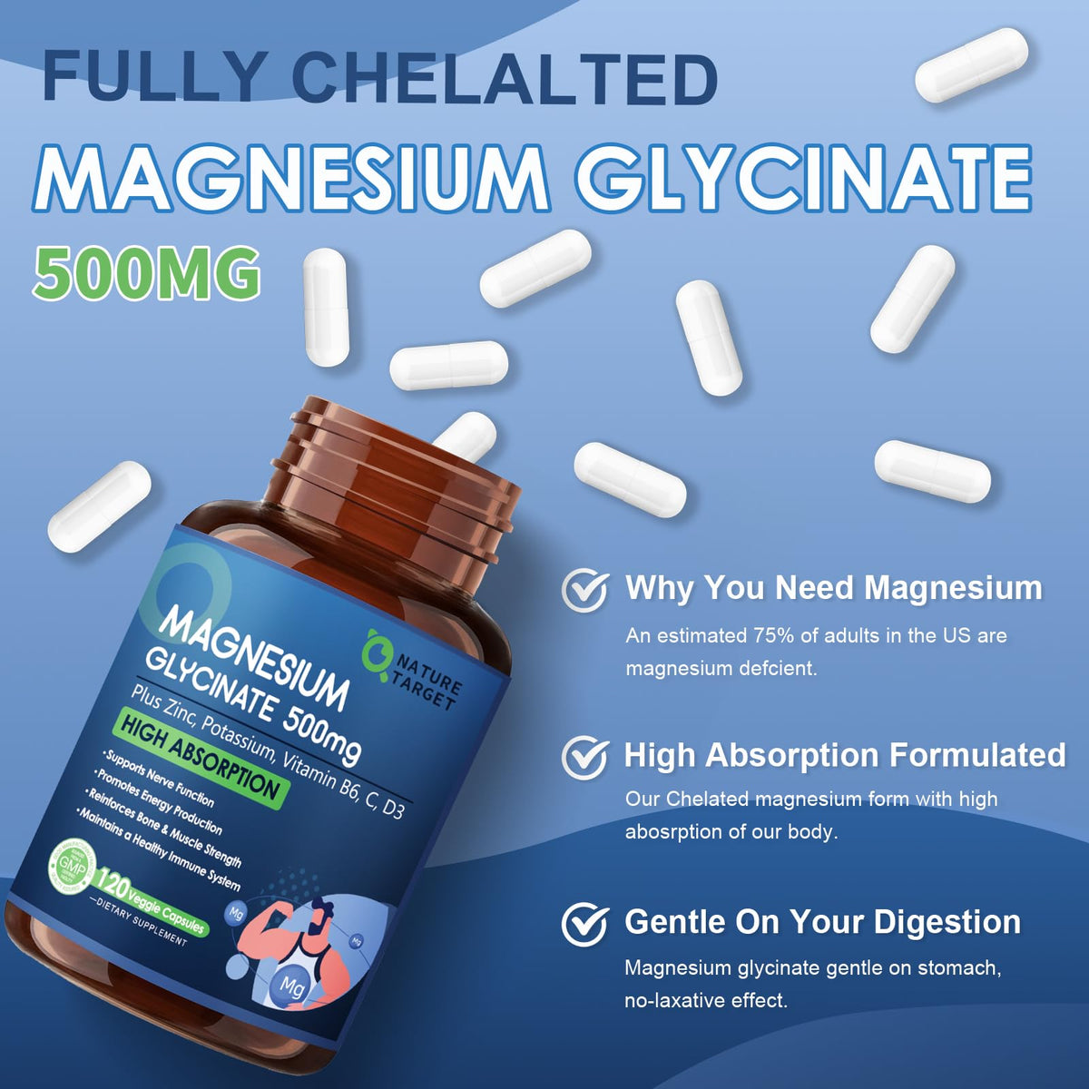 NATURE TARGET Magnésium Glycinate 500 mg capsules végétales en gros plan