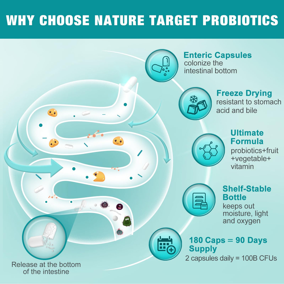 NATURE TARGET Probiotiques 180 Capsules Végétales - vue arrière