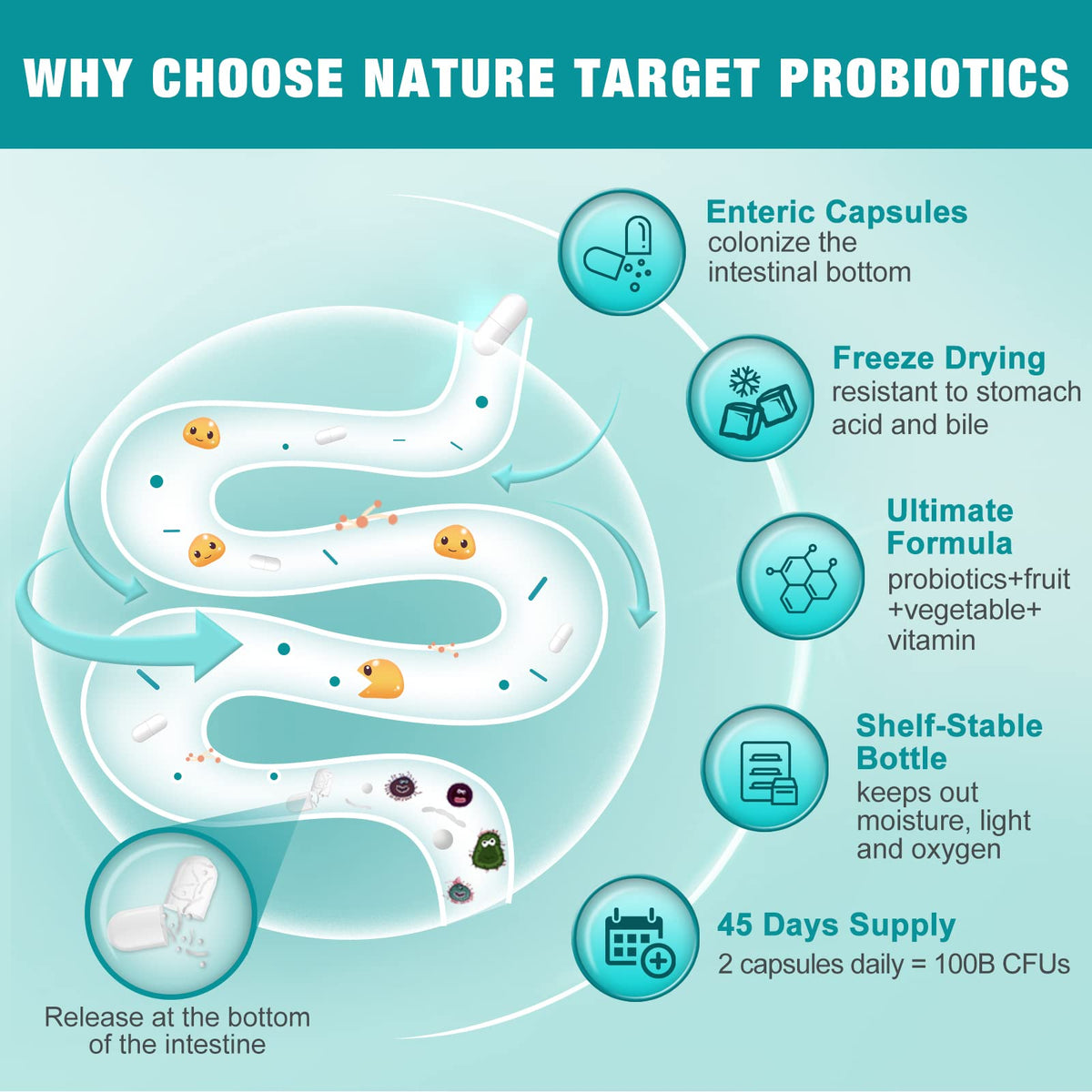 NATURE TARGET Probiotiques 90 Capsules Végétales - Détails de l'emballage