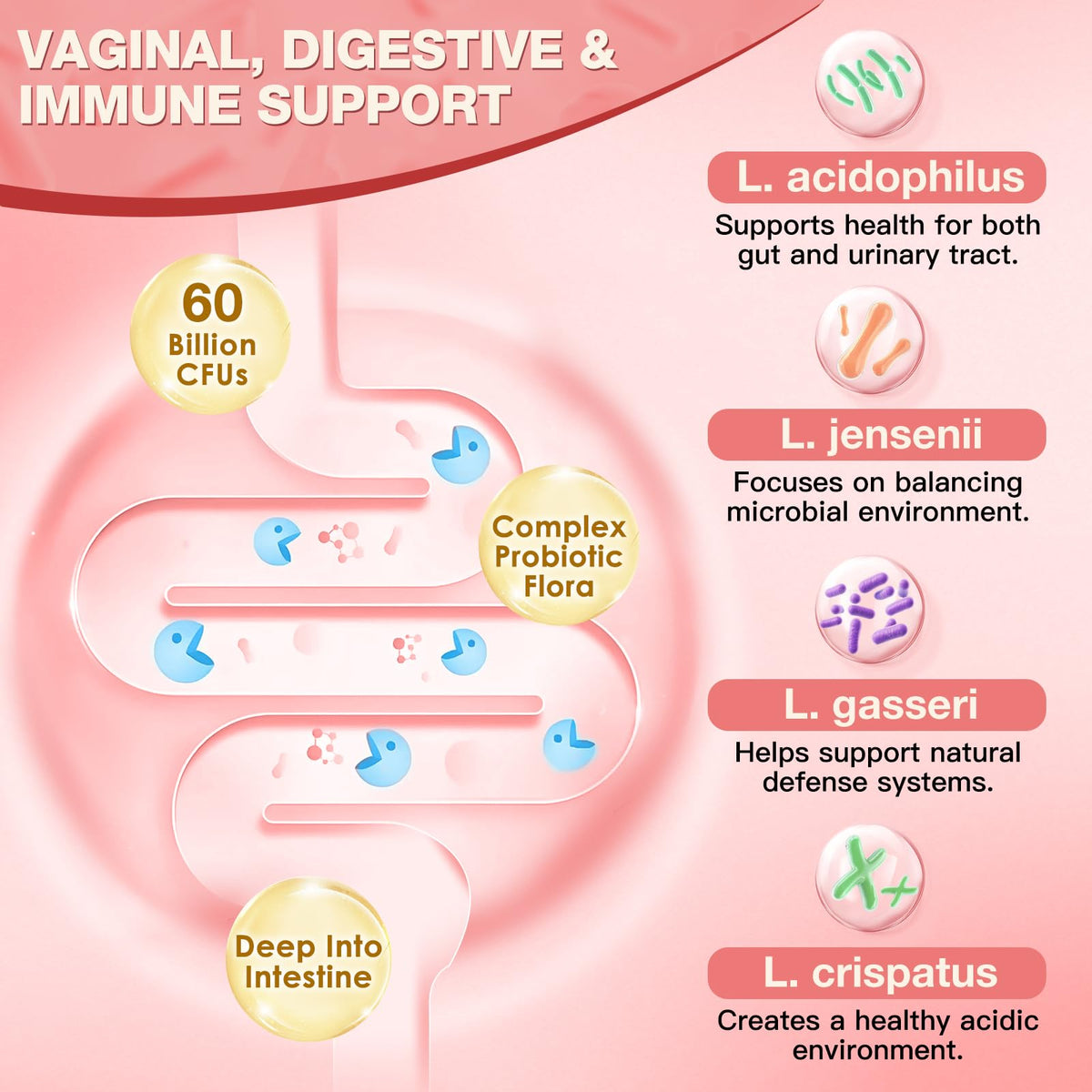 NATURE TARGET Probiotiques Vaginales capsules ouvertes