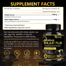 NATURE TARGET Shilajit Pur Himalayen 500mg capsules végétaliennes
