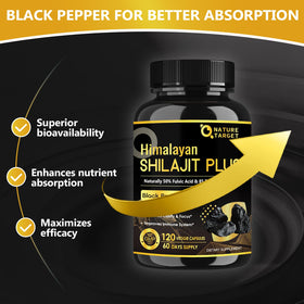 NATURE TARGET Shilajit Pur Himalayen 500mg étiquette avec détails