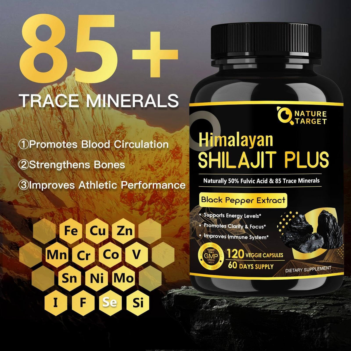 NATURE TARGET Shilajit Pur Himalayen 500mg sur fond blanc