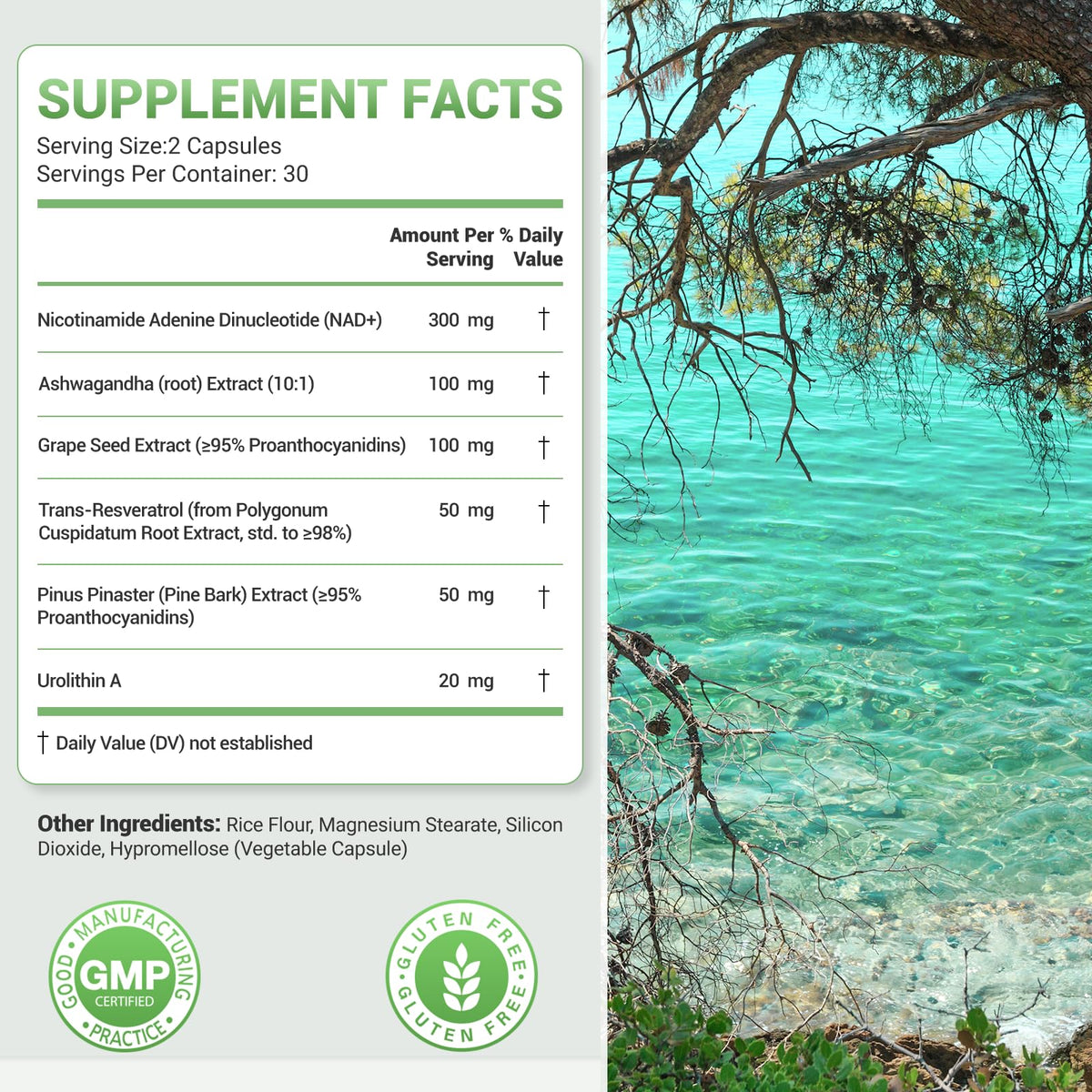 Nature Whisper complément alimentaire 620mg 6-en-1, capsules à l'intérieur