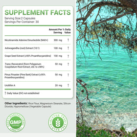 Nature Whisper complément alimentaire 620mg 6-en-1, capsules à l'intérieur