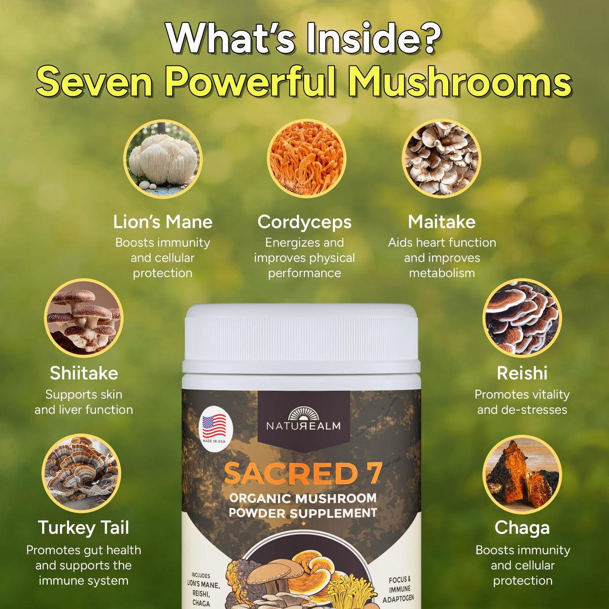 Naturealm Sacred 7 Poudre de Champignons Bio sur une cuillère