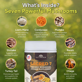 Naturealm Sacred 7 Poudre de Champignons Bio sur une cuillère