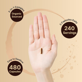 NatureBell 480 capsules de cannelle de Ceylan et melon amer en vrac