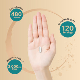 NatureBell acide hyaluronique 2000 mg avec MSM et collagène