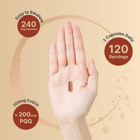 NatureBell CoQ10 200mg PQQ ingrédients sur l'étiquette
