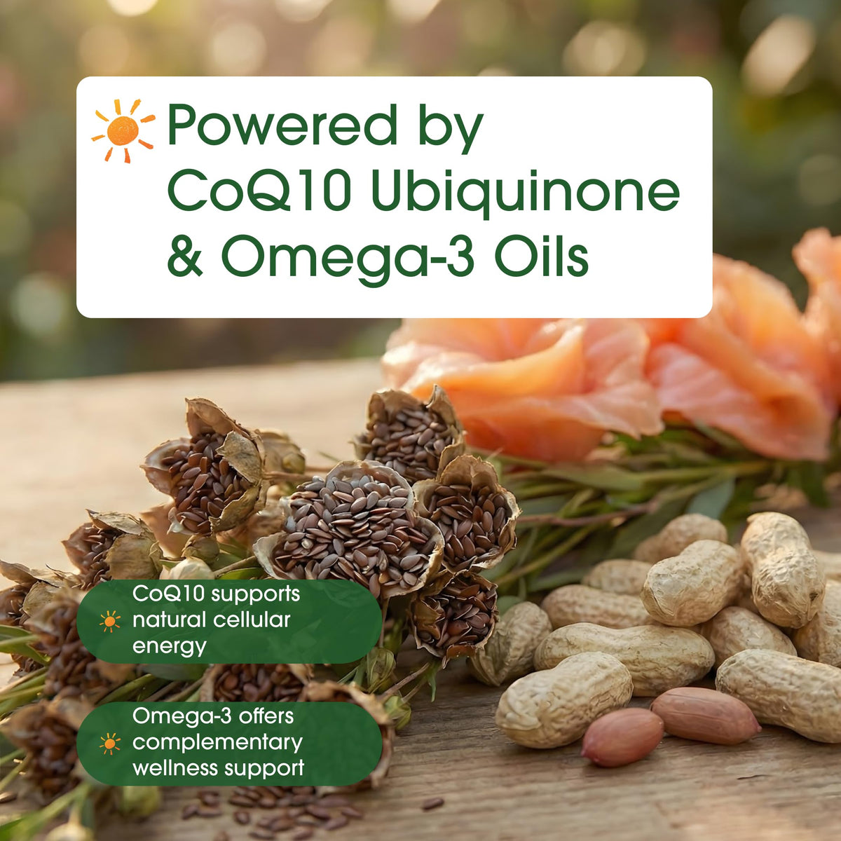 NatureBell CoQ10 400mg, capsules sur un fond neutre