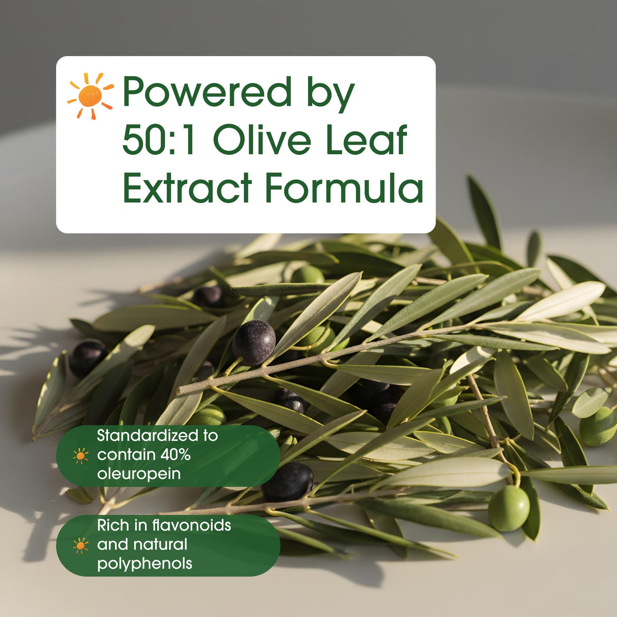 NatureBell Extrait de Feuille d'Olivier 240 Capsules avec dosette