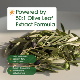 NatureBell Extrait de Feuille d'Olivier 240 Capsules avec dosette
