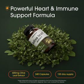 NatureBell Extrait de Feuille d'Olivier 240 Capsules avec étiquette