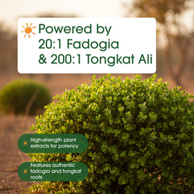 NatureBell Fadogia Agrestis 600mg et Tongkat Ali 400mg capsules sur une table