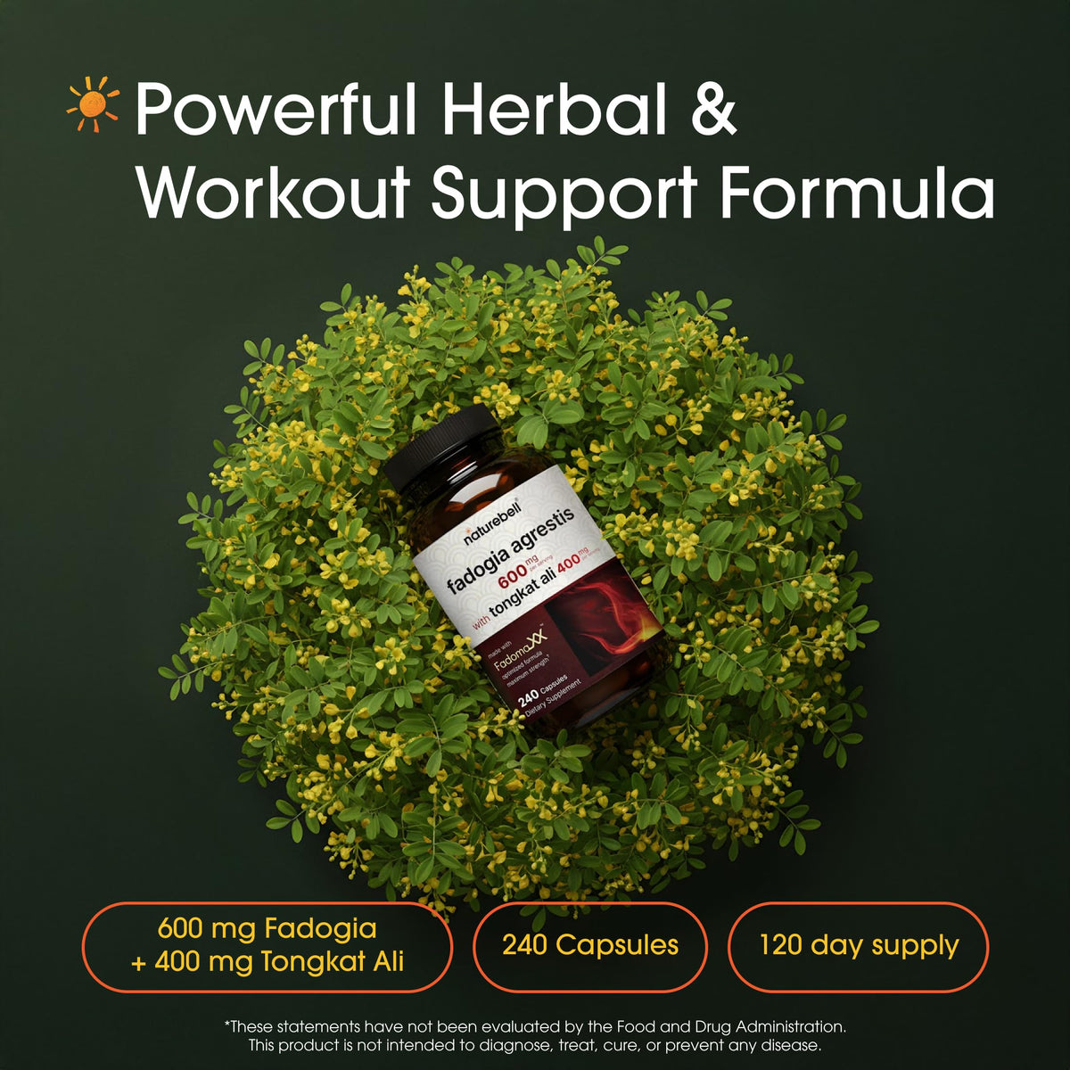 NatureBell Fadogia Agrestis 600mg et Tongkat Ali 400mg capsules vue de côté