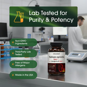 NatureBell Fadogia Agrestis et Tongkat Ali capsules avec un verre d'eau