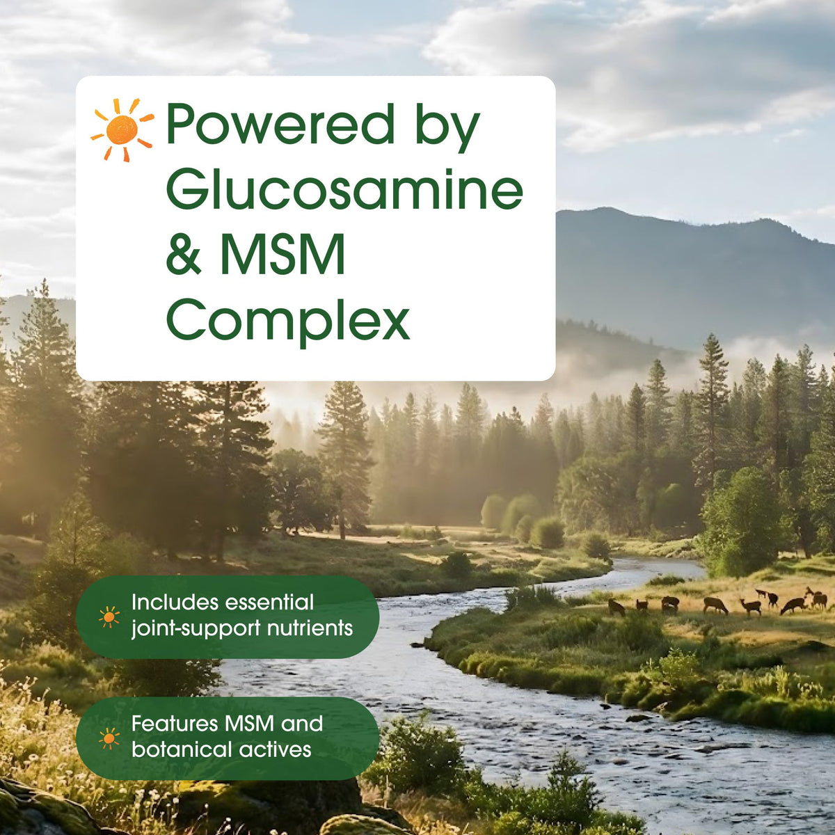 NatureBell Glucosamine Chondroïtine 240 capsules côté gauche