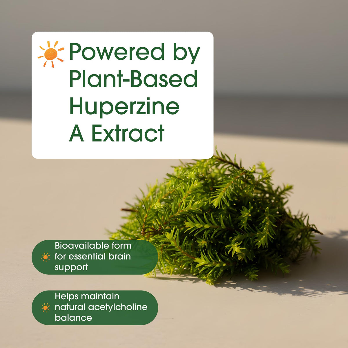 NatureBell Huperzine A 400mcg capsules avec autres compléments alimentaires